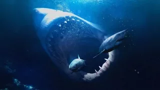 Мегалодон самая большая акула.Интересное видео 100%