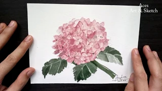 How to paint a Simple Hydrangea | Flower Watercolor Painting | Step by step | Aces art and sketch