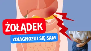 Żołądek - sprawdź czy masz z nim problem. Zdiagnozuj się sam.