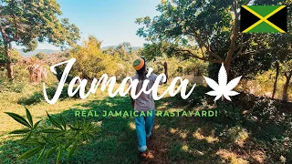JAMAICAN RASTA SHOWS HIS YARD - REAL JAMAICAN RASTAFARM DOKU 2019 🇯🇲💚
