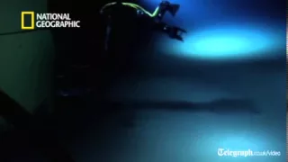 James Cameron's first footage from the deep sea floor