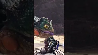 Pukei-Pukei Vs Sword and Shield Monster Hunter World