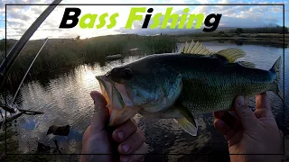 Bass fishing in a small reservoir.