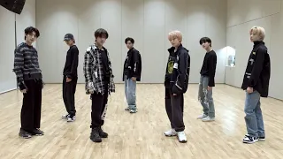 [Tamed-Dashed - ENHYPEN] Dance Practice Mirrored