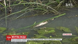 Через отруєння стоками річка Хомора стала сіро-білого кольору