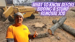 What to Know Before Bidding a Stump Removal job