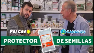 Prevención de ENFERMEDADES en AVIARIOS 🟡 Protección de SEMILLAS para PÁJAROS