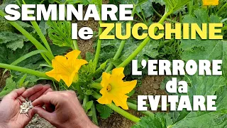 SEMINARE le ZUCCHINE | L'ERRORE da EVITARE