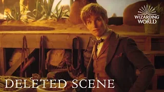 Fantastic Beasts and Where to Find Them - DELETED SCENE debut at A Celebration of Harry Potter 2017