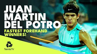 Juan Martin del Potro's Fastest Ever ATP Forehand Winners! 💥