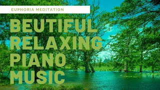 Beautiful Relaxing Piano Music with Birds Singing• Sleep Music, Nature Sounds, Euphoria Meditation