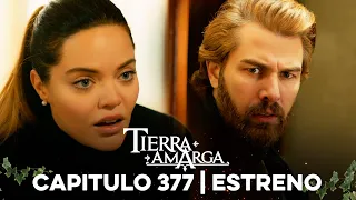 Tierra Amarga - Estreno 377 @TierraAmarga