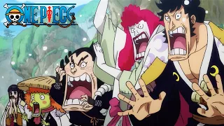 Oden Returns to Wano! | One Piece