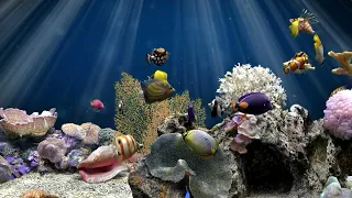 Calming Fish Tank Water Sounds For Relaxing | Tropical Aquarium | 2 Hours