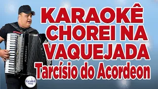 CHOREI NA VAQUEJADA - KARAOKÊ VEEP