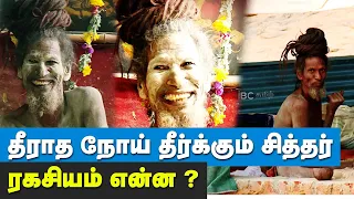 Doctor-களை வியக்கவைக்கும் லால் பாபாஜி | சித்தர்கள் தேடி ஓர் பயணம் !! Thandhira bhoomi | Lal Babaji