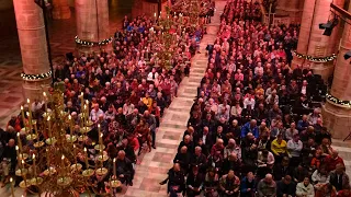 Trumpet Minuet (with Chamade) - A. Hollins - St. Laurenskerk Rotterdam - Gert van Hoef