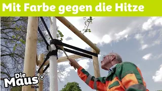 Sonnenschutz für Bäume | DieMaus | WDR