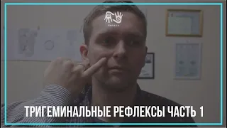 Тригеминальные Рефлексы семинар в Алматы.  Часть  1.