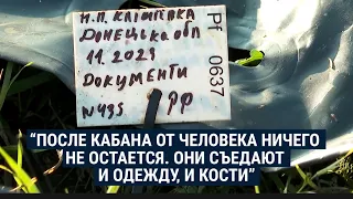 Как украинские поисковики ищут тела погибших военных