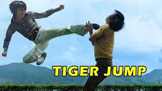 Wu Tang Collection - Tiger Jump