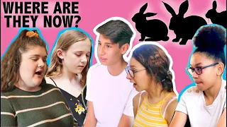 HOUSE RABBIT MAKEOVER | WHERE ARE THEY NOW? | EPISODE 5