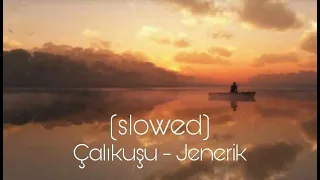 Çalıkuşu - Jenerik(slowed)