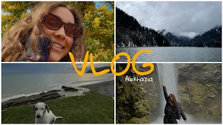 VLOG // Абхазия // тур из Сочи на мимозу