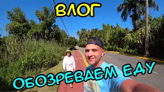 ВЛОГ: ЧЕМ КОРМЯТ В ОТЕЛЕ ? (OCCIDENTAL PUNTA CANA)