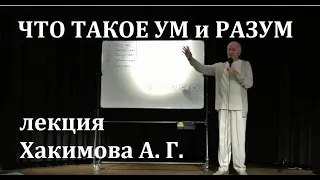 Что такое ум и разум человека, Хакимов А. Г. #Хакимов #Хакимовлекции