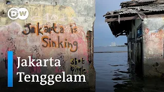 Ini Alasan Jakarta Diprediksi Tenggelam Tahun 2050 | #Ecofrontlines
