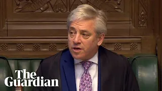 Commons Speaker John Bercow admits using the word 'stupid' in parliament