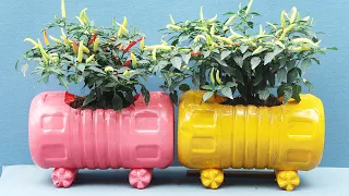 DIY Ideas Colorful Potted Gorgeous From Recycled Plastic Bottles For Small Gardens