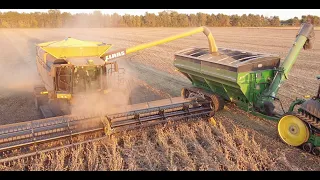 2021 Minnesota Soybean Harvest