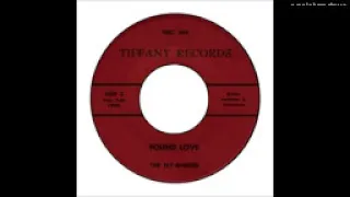 Fly Bi Nites --  Found Love