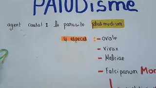 paludisme