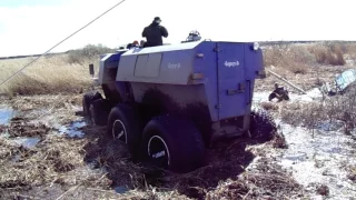 Ермак Беркут спасаем Тингера.