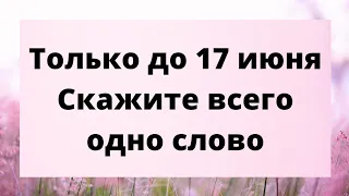 Только до 17 июня, скажите всего одно слово.