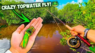 TOPWATER FROG Fly Fishing for GIANT POND BASS! *EXPLOSIVE EATS*