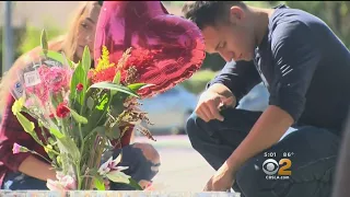 4 Killed When Speeding BMW Slams Into Tree, Erupts In Flames In Northridge