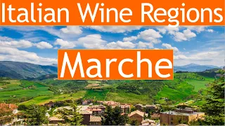 Italian Wine Regions: Marche