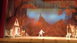 Kiev 2014 10 21 Giselle act1 08 крестьянское пдд 3