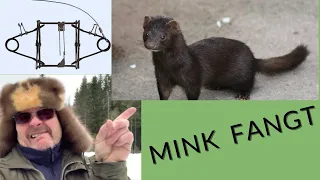 Fellesjekk 17  Mink  nov 25 2022.Mink trapping.Check out mink traps no. 17