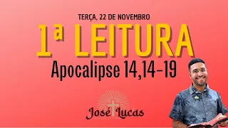 1ª Leitura de hoje (22/11/2022) | Liturgia Diária | Terça XXXIV Tempo Comum | Apocalipse 14,14-19