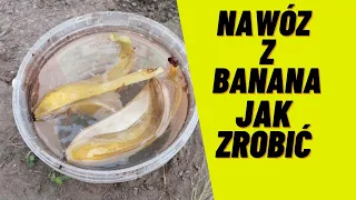 Jak zrobić nawóz ze skórek banana? Jak stosować nawóz z banana?