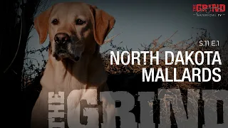 North Dakota Mallards | The Grind S11: E1