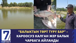 ТАШТАНДЫ ЖЕРДИ КӨЛГӨ АЙЛАНТЫП, БАЛЫК ЧАРБАСЫН ТҮПТӨГӨН ТУРГУН