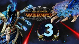 Перевёртыш Total War Warhammer 3 прохождение за Обманщиков Тзинча (сюжетная кампания) - #3