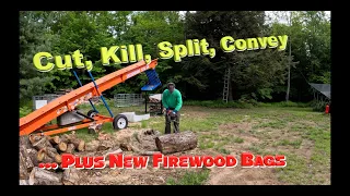 Cut, Kill, Split, Convey #firewood #conveyor #husqvarna #splitter #eastonmade