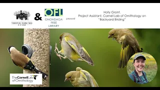 Holly Grant, Cornell Lab of Ornithology on “Backyard Birding”